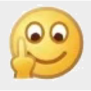 New UGG Tazz Tasman Sandals Women Slipper